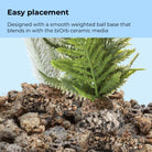 Thistle Fern Plant Set, small grey/green - easy placement
