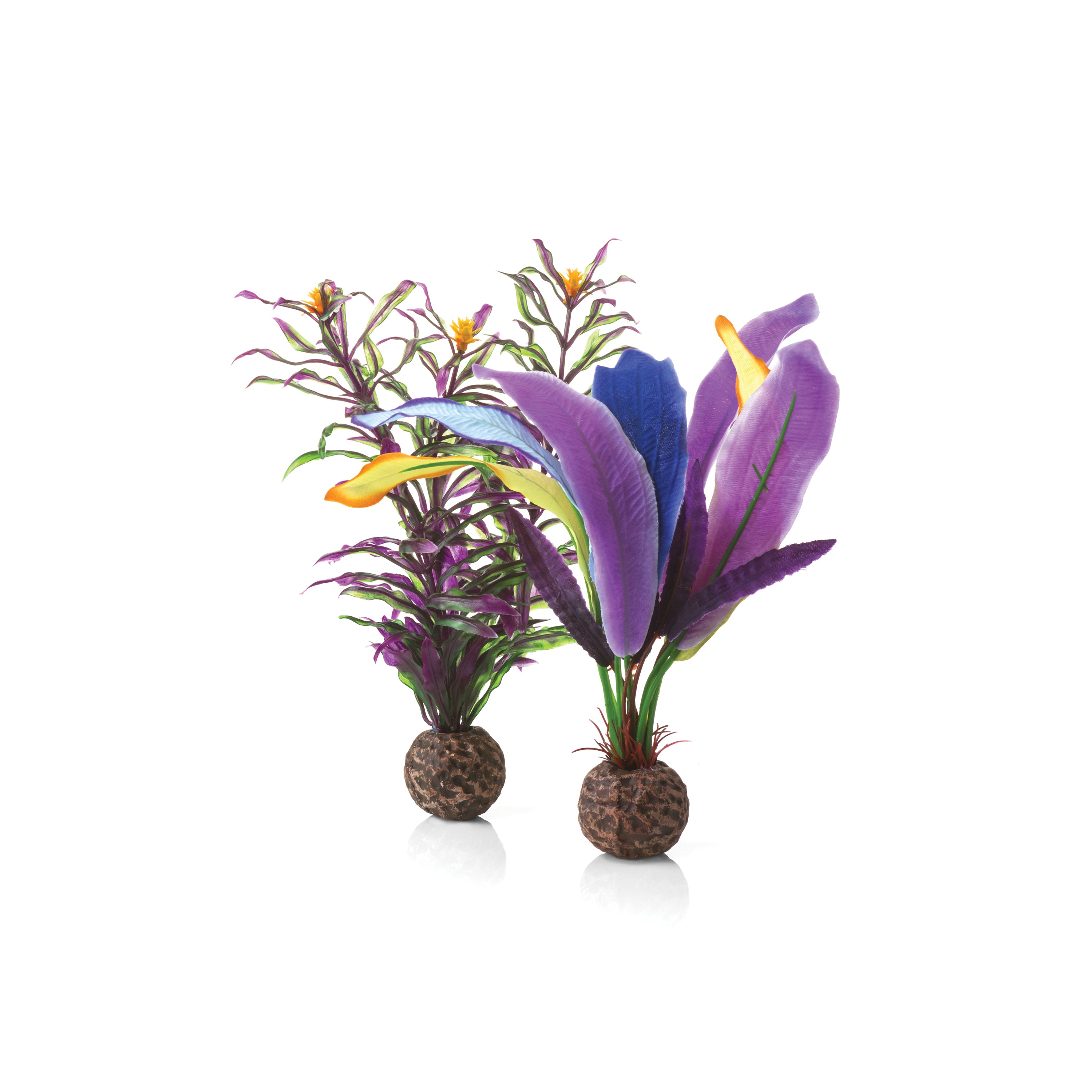Parrot Feather Plant Set, small