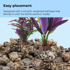 Parrot Feather Plant Set, small - Easy placement