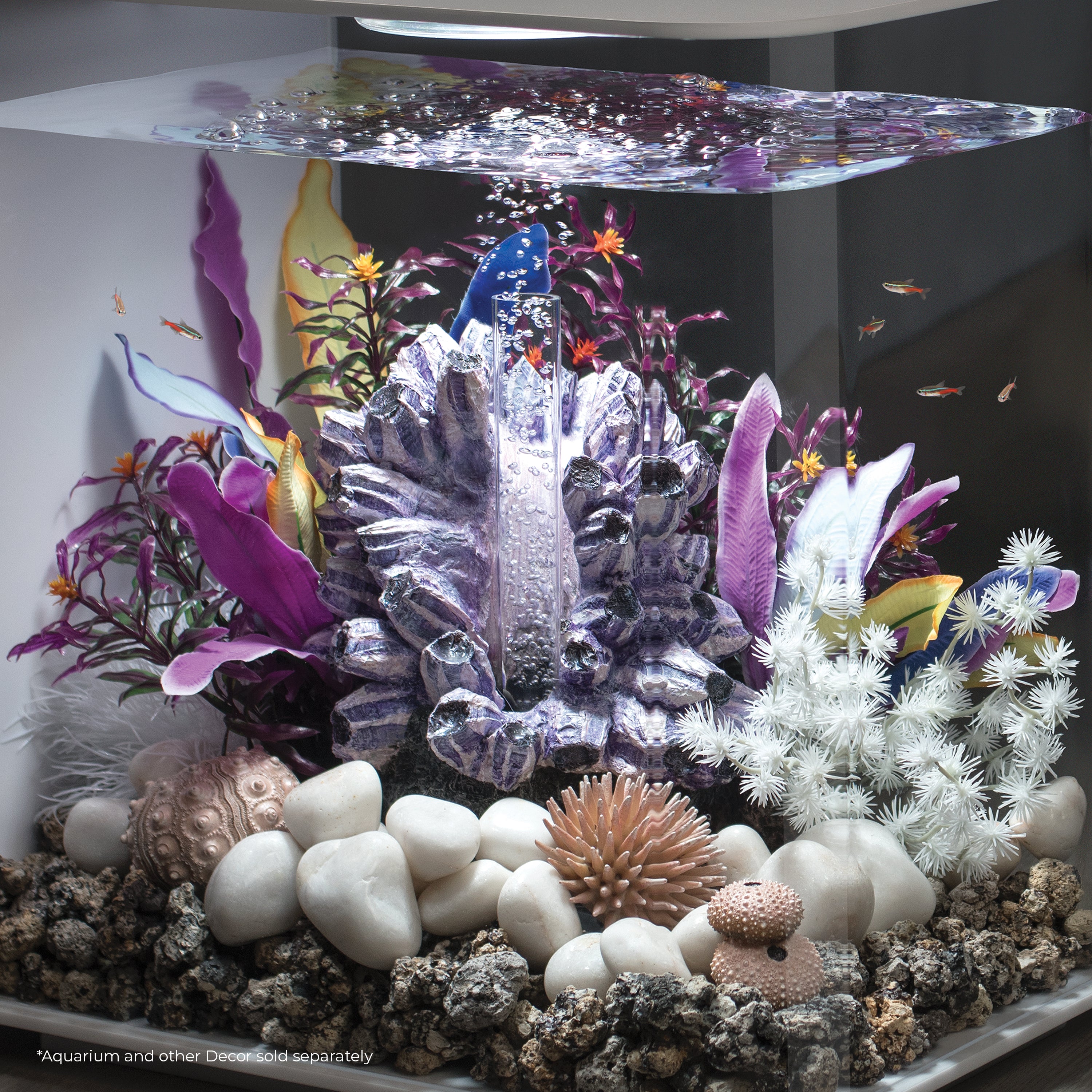 Parrot Feather Plant Set, small - In use