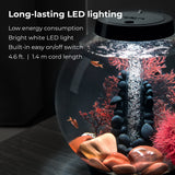 CLASSIC 15 Aquarium Set with LED Light - 4 gallon, Black - Stone River - Long-lasting LED lighting