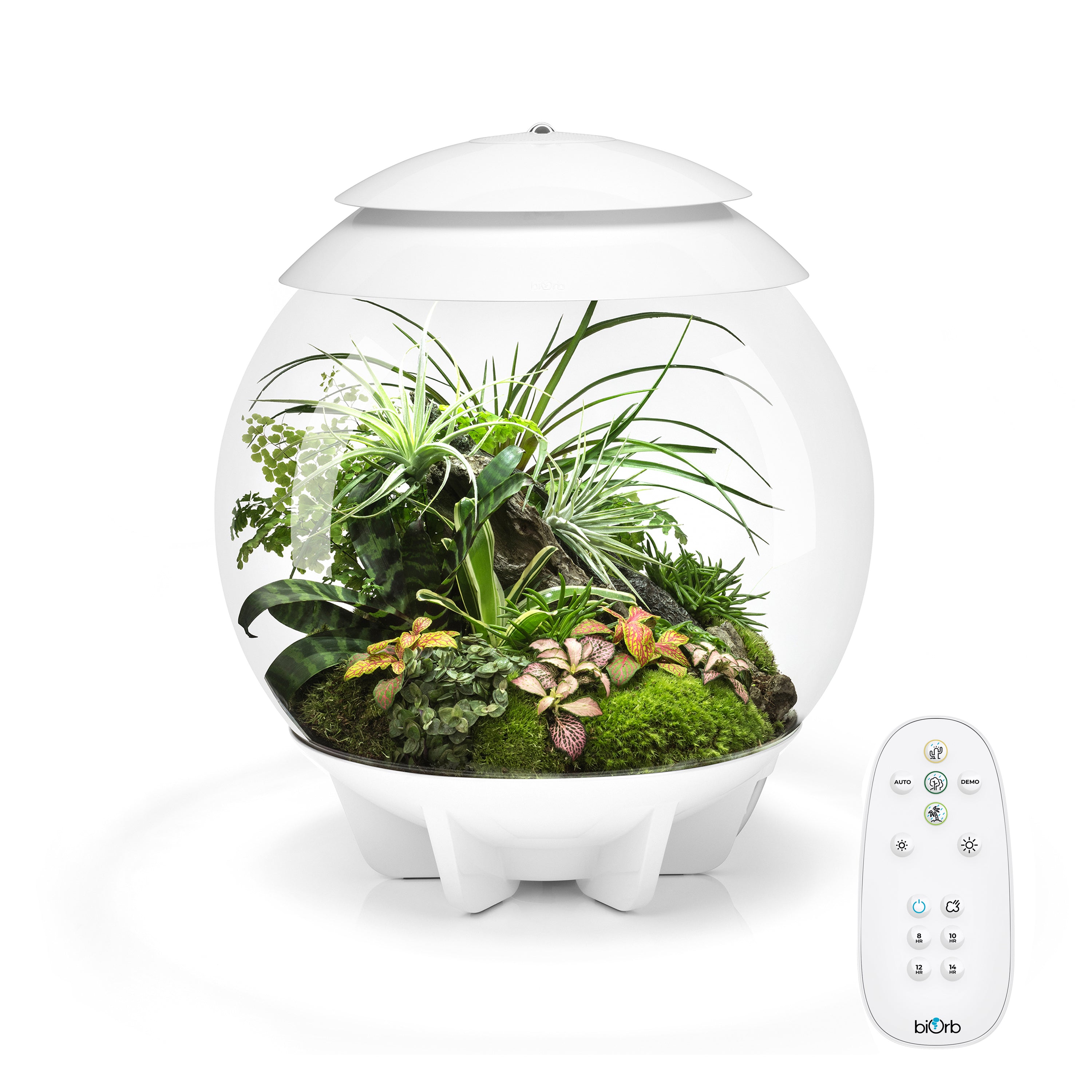AIR 30 Terrarium White