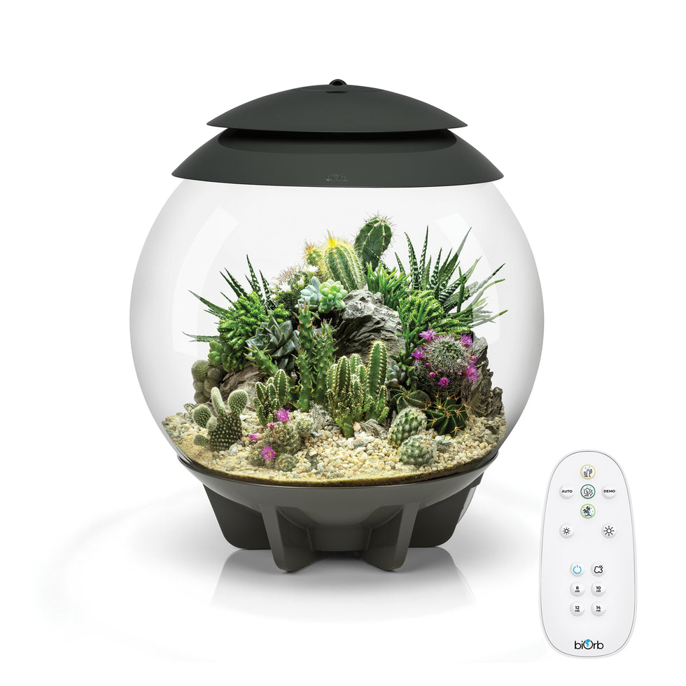 Biorb Innovative Aquariums and Terrariums for Your Home | biOrb US