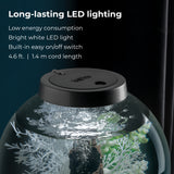 CLASSIC 15 Aquarium with Standard Light - 4 gallon features long-lasting LED lighting