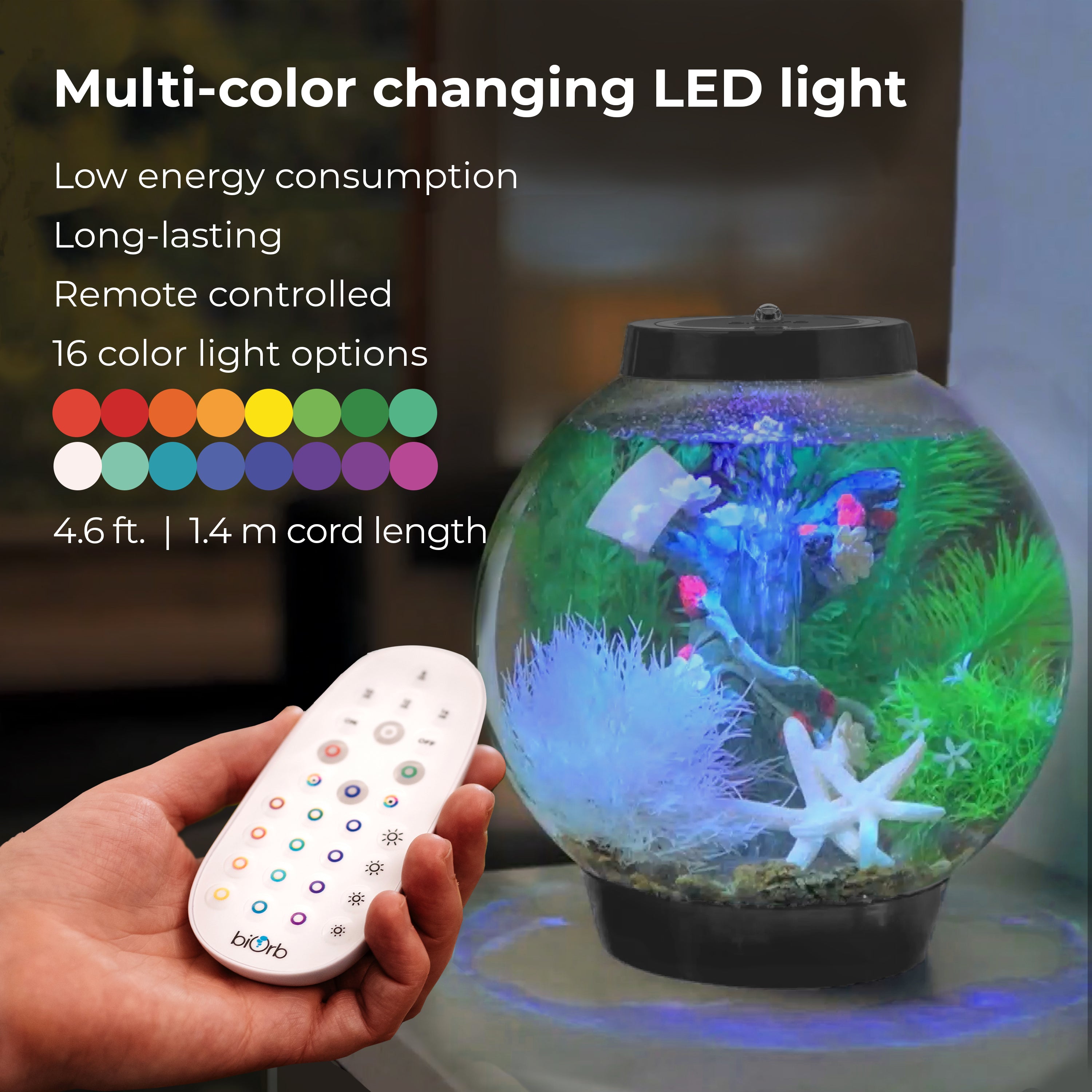 CLASSIC 15 Aquarium with MCR Light - 4 gallon features multi-color changing LED light
