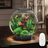 Get inspiration for your aquarium with CLASSIC 30 Aquarium with MCR Light - 8 gallon available in silver