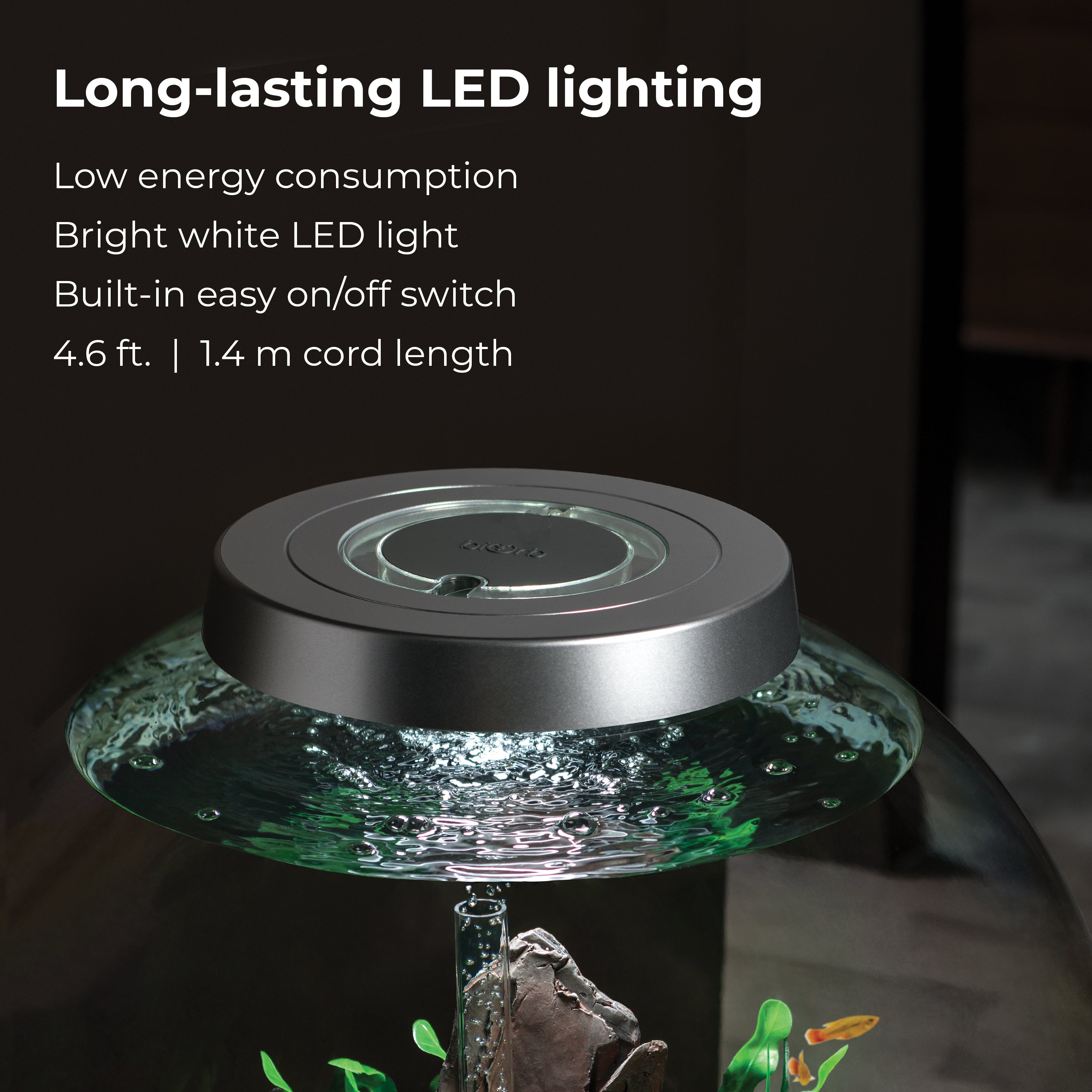 CLASSIC 60 Aquarium with Standard Light - 16 gallon features long-lasting LED lighting