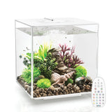 CUBE 30 Aquarium with MCR Light - 8 gallon available in white