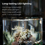 TUBE 15 Aquarium with Standard Light - 4 gallon Long-lasting LED lighting