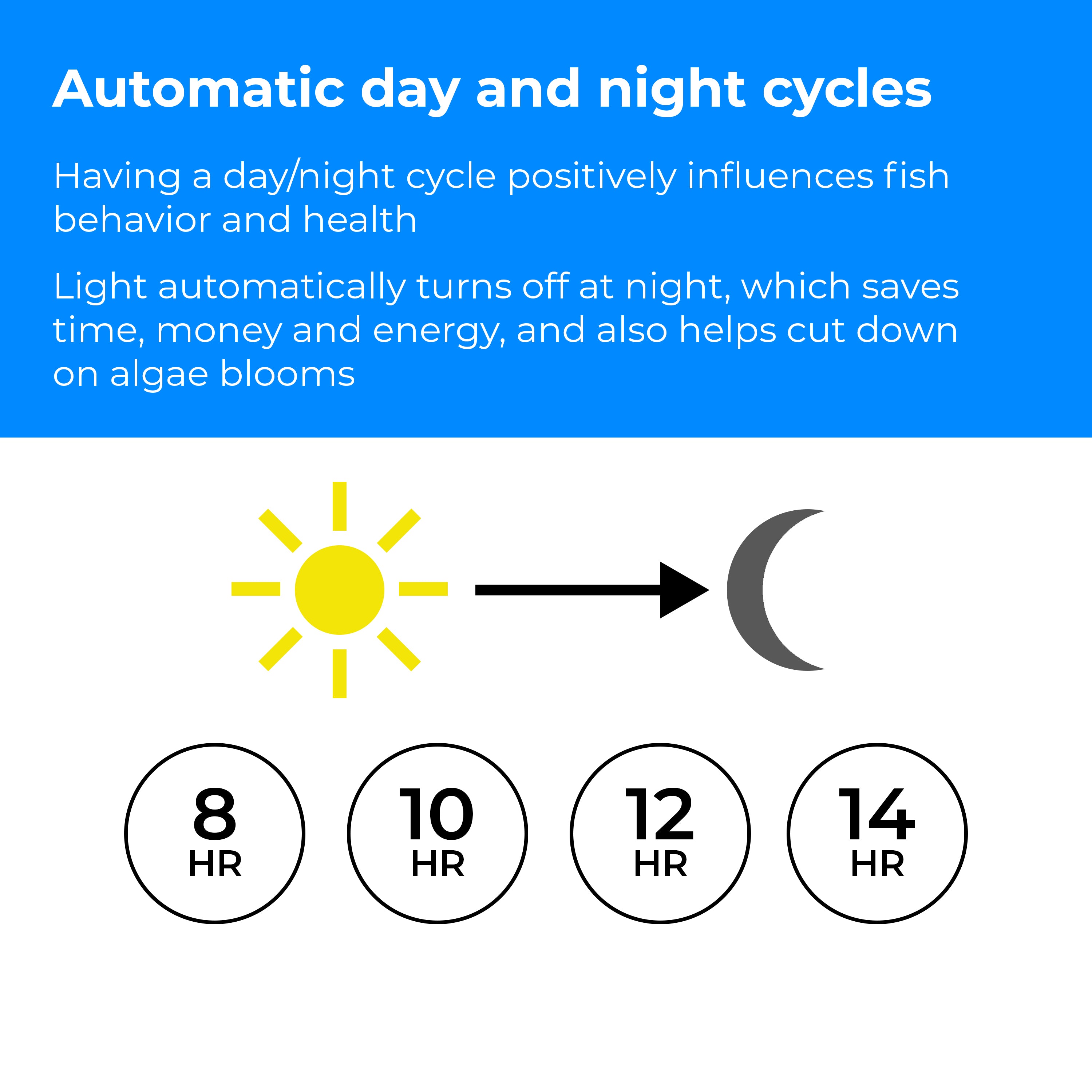 MCR LED Small Light Accessory - Automatic day and night cycles