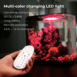 MCR LED Large Light Accessory - Multi-color changing LED light