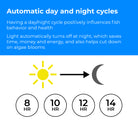 MCR LED Small Light Accessory - Automatic day and night cycles