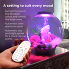 MCR LED Small Light Accessory - A setting to suit every mood