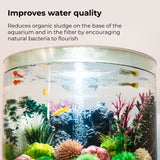 Biological Booster - Improves water quality