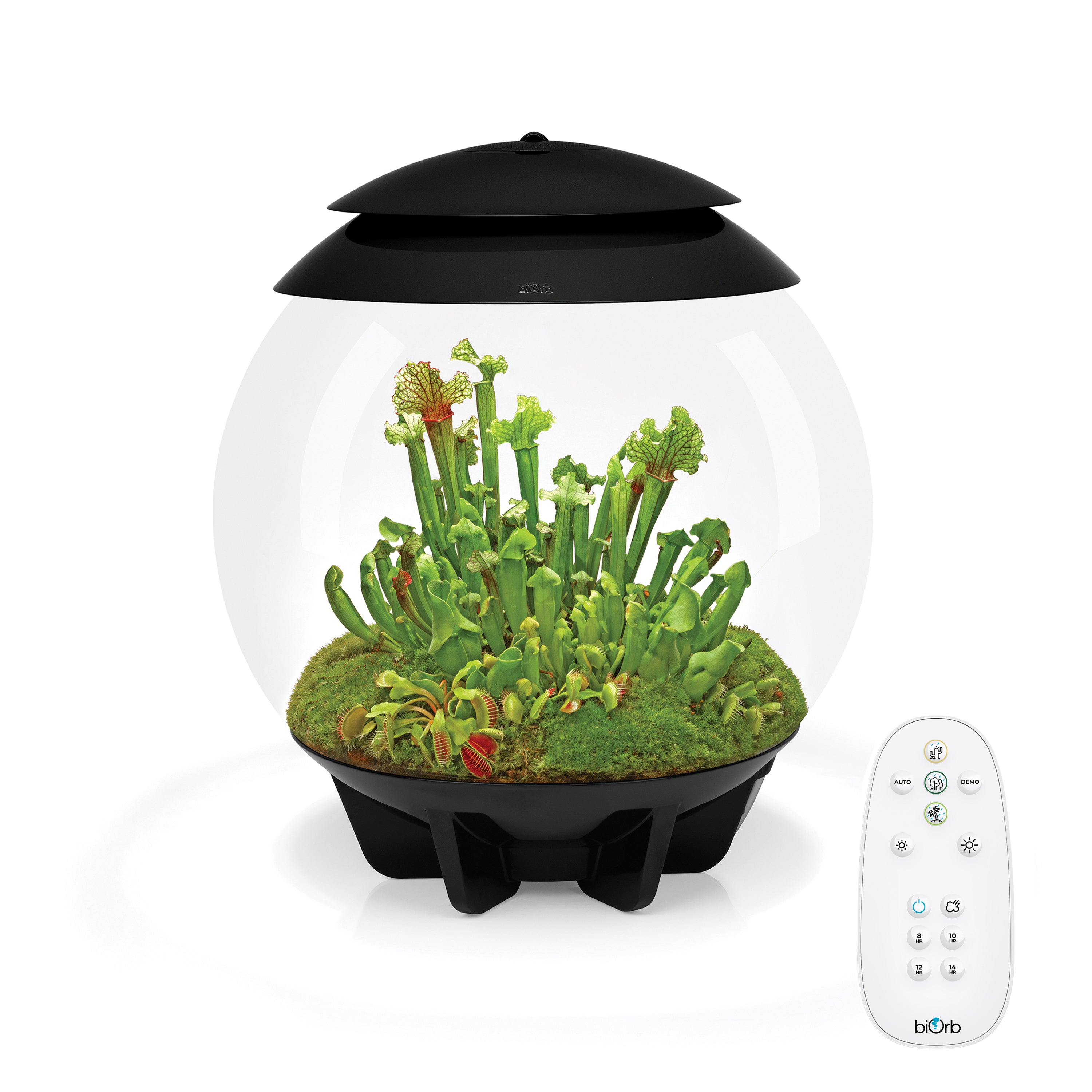 AIR 30 Terrarium Black