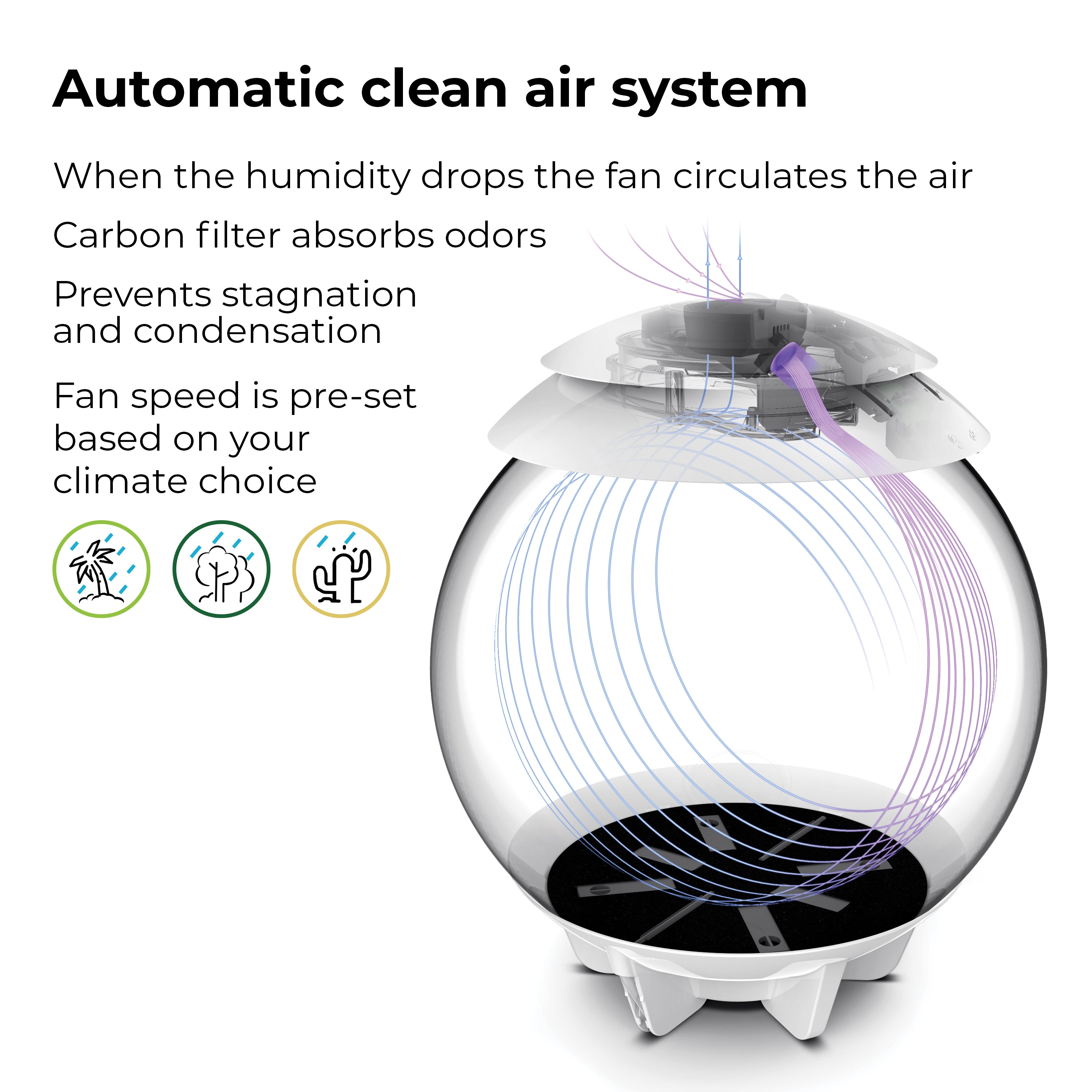 AIR 30 Automatic clean air system
