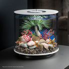 Seychelles Plate Coral Set - In use