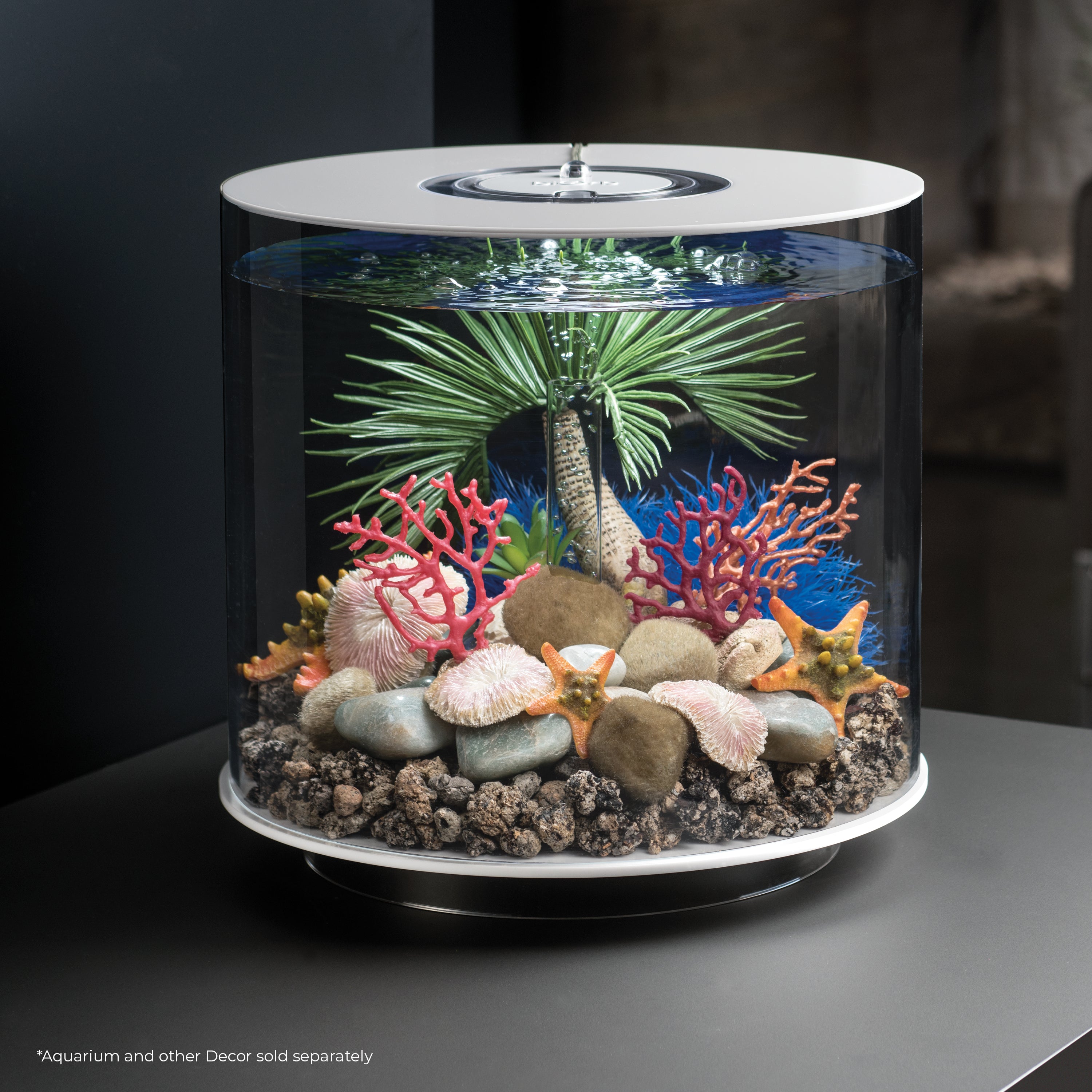 Seychelles Plate Coral Set - In use