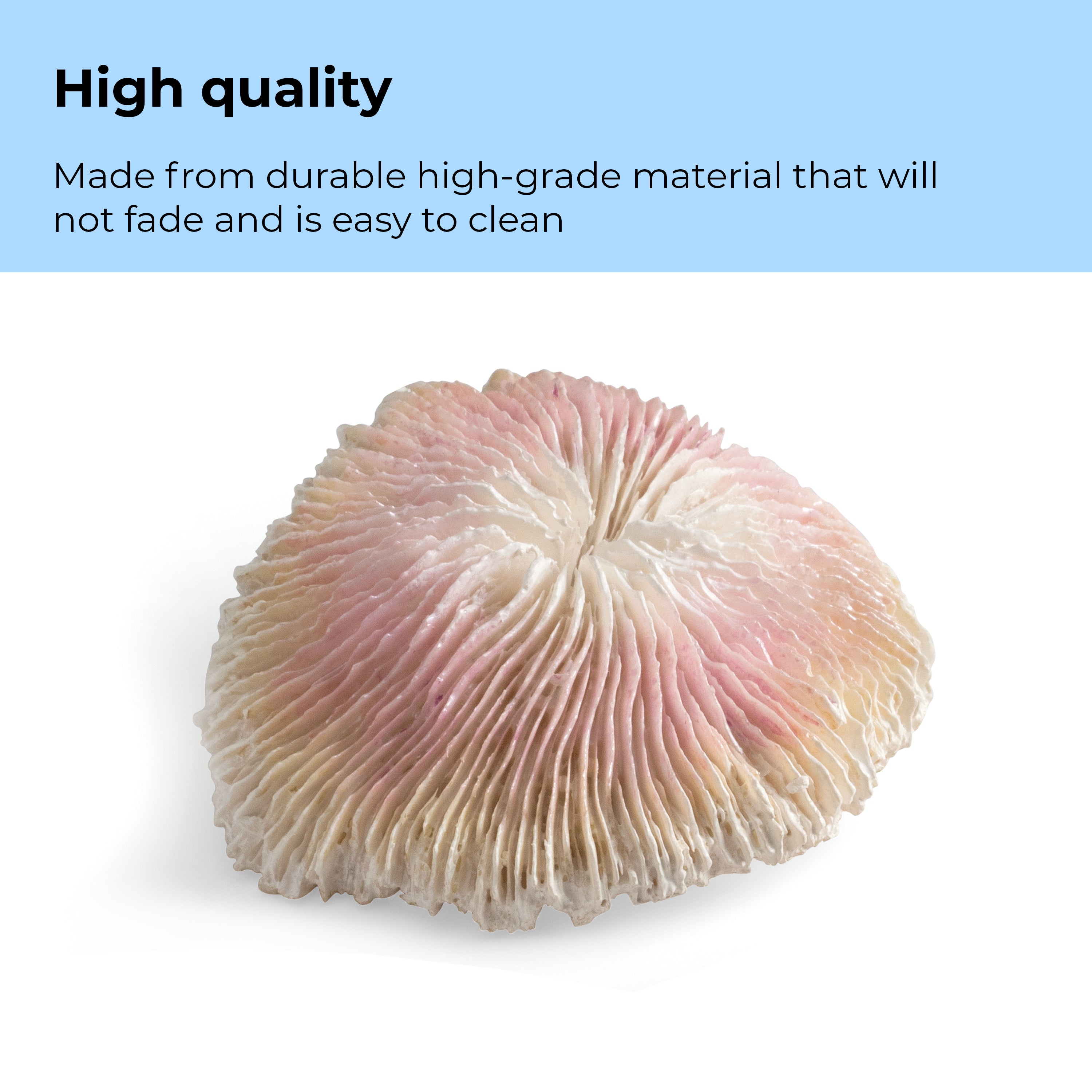 Seychelles Plate Coral Set - High quality