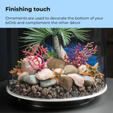 Seychelles Plate Coral Set - Finishing touch