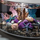 Seychelles Plate Coral Set - In use
