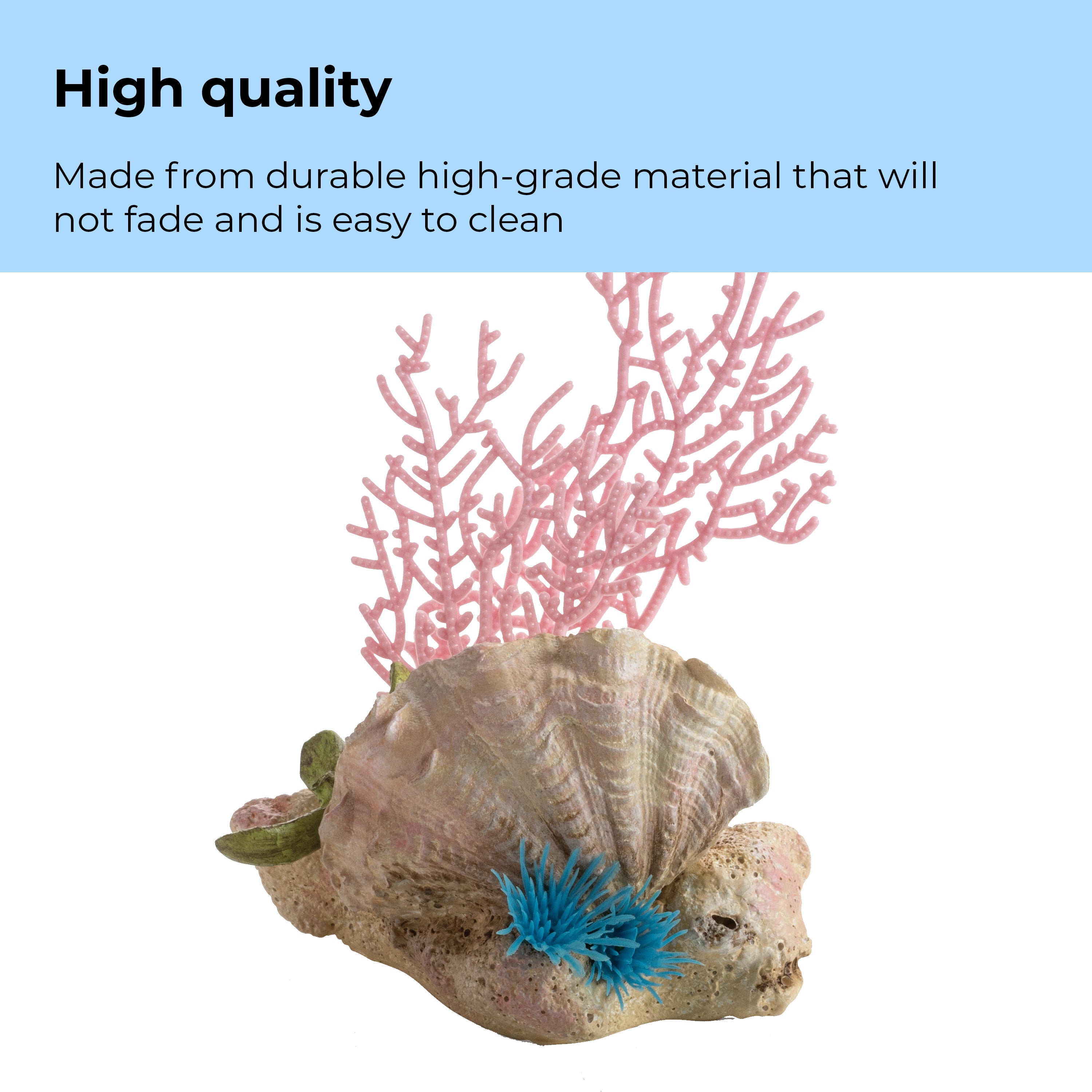 Seychelles Coral Fans & Shells Set - High quality