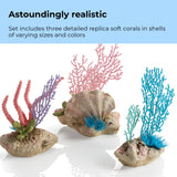 Seychelles Coral Fans & Shells Set - Astoundingly realistic