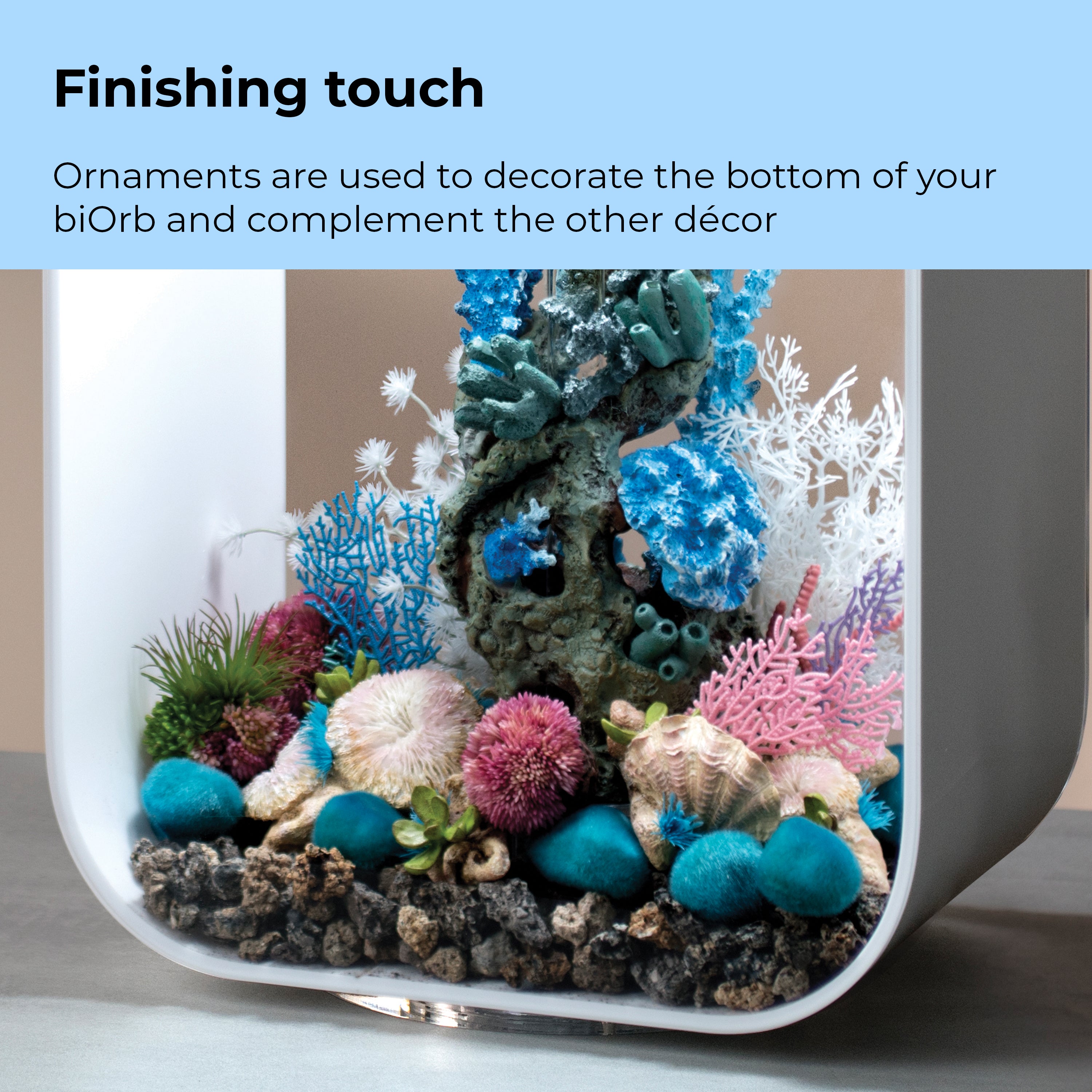 Seychelles Coral Fans & Shells Set - Finishing touch