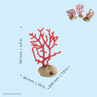 Seychelles Sea Whip Set - Dimensions