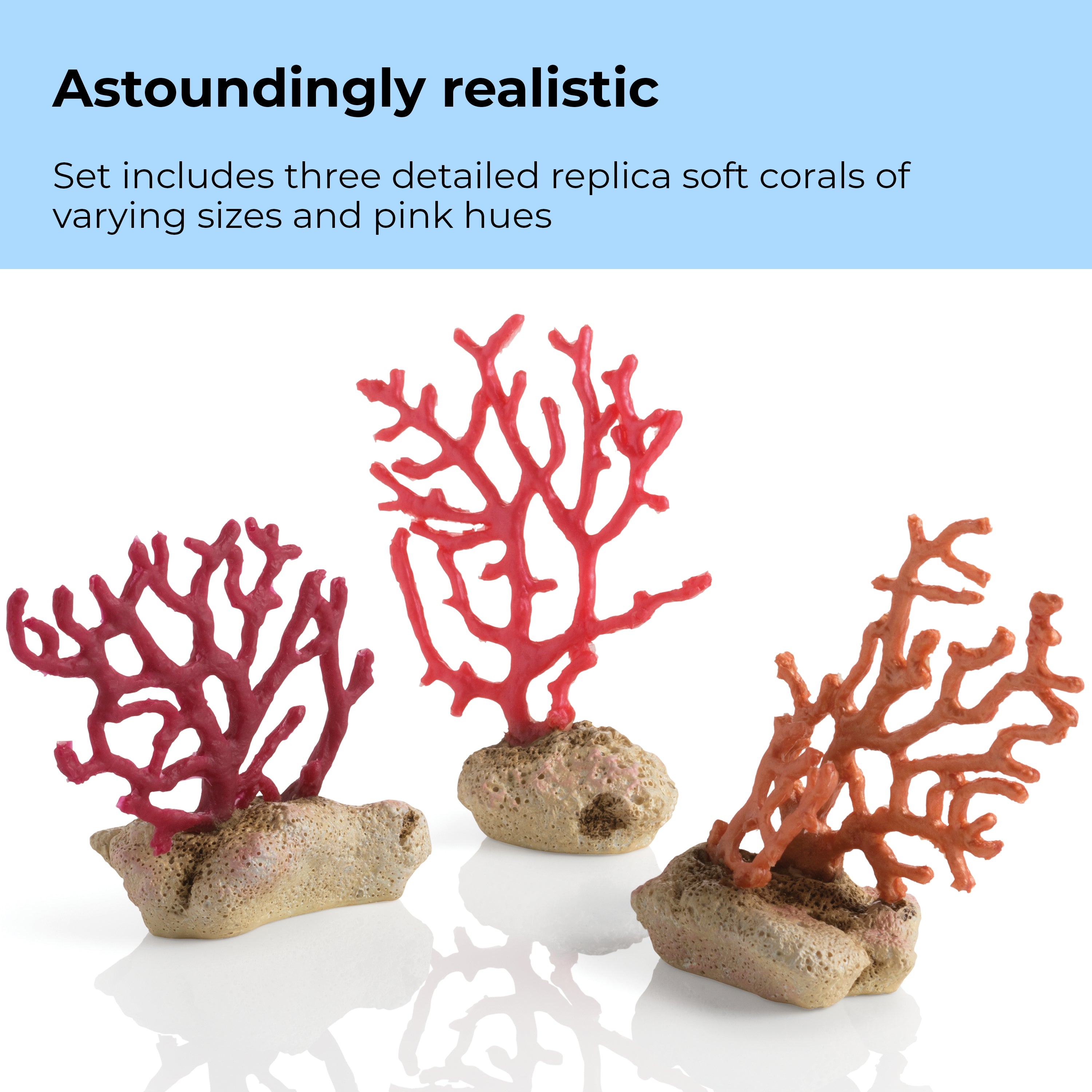 Seychelles Sea Whip Set - Astoundingly realistic