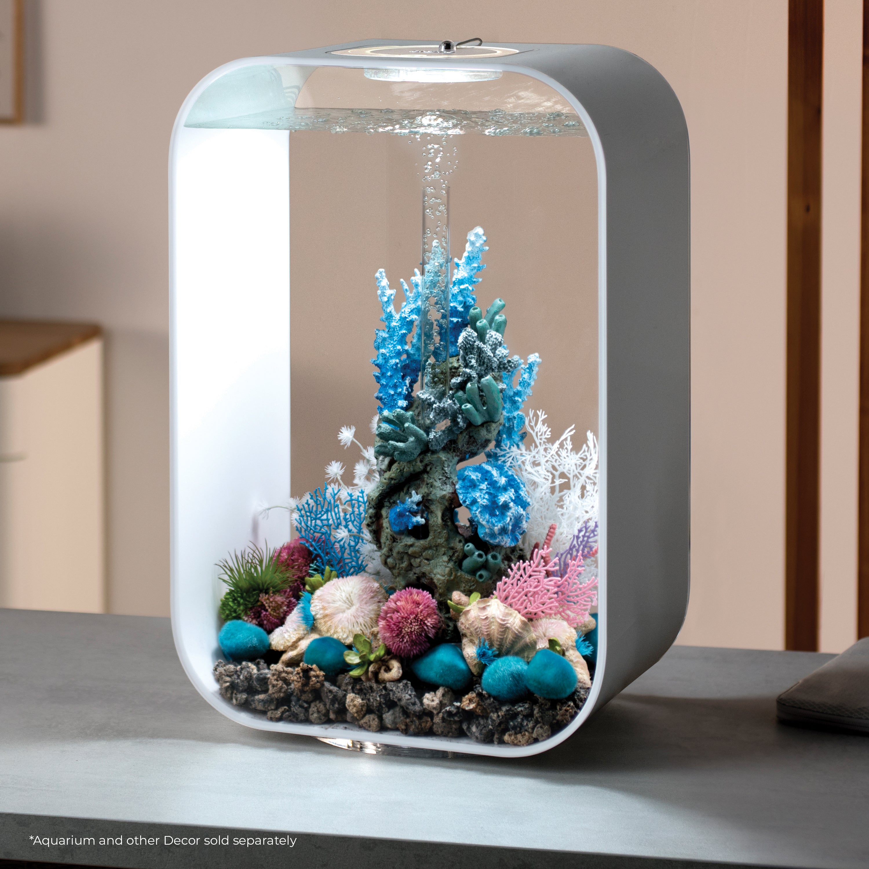 Seychelles Plate Corals & Button Polyps Set - In use
