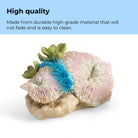 Seychelles Plate Corals & Button Polyps Set - High quality