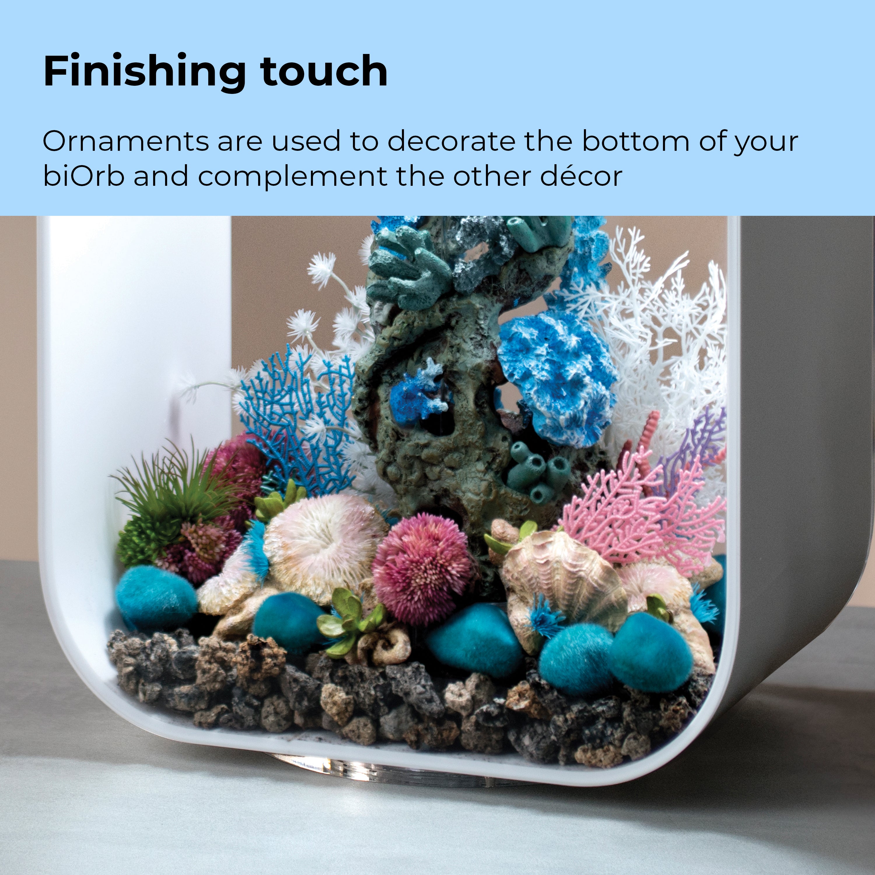 Seychelles Plate Corals & Button Polyps Set - Finishing touch