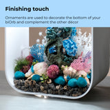 Seychelles Plate Corals & Button Polyps Set - Finishing touch
