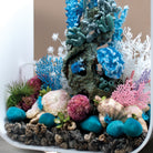 Seychelles Plate Corals & Button Polyps Set - In use