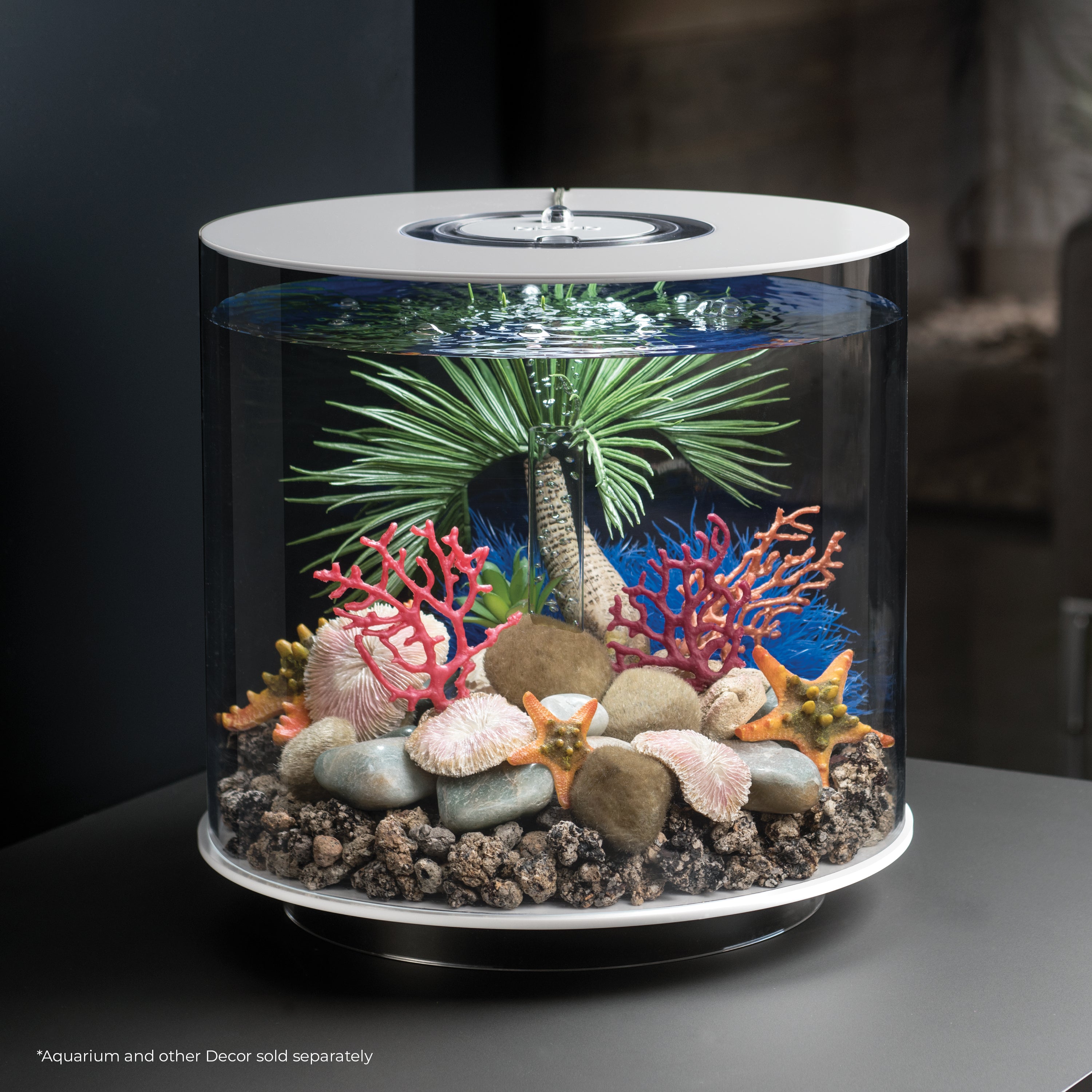 Seychelles Palm Tree Sculpture, medium - In use