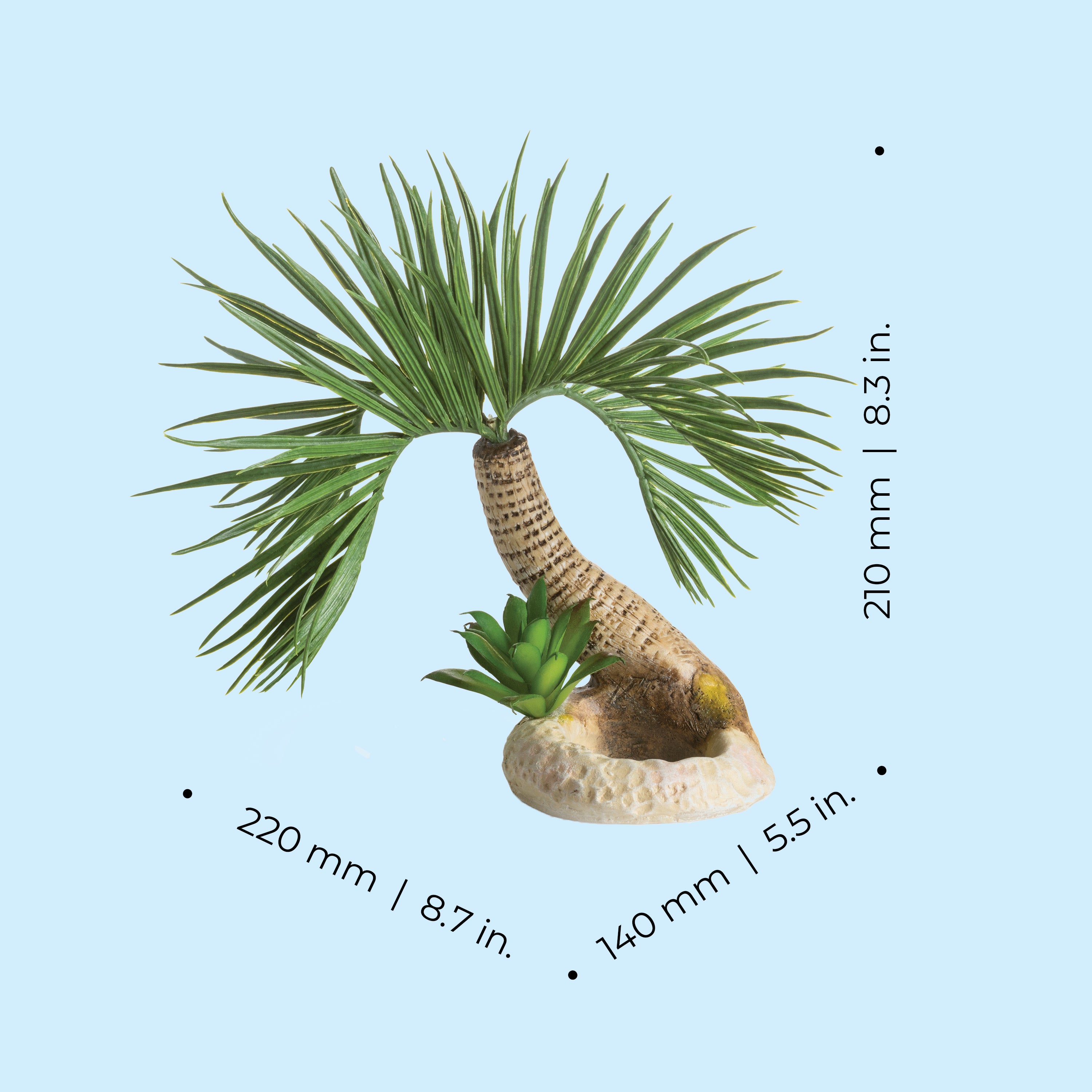 Seychelles Palm Tree Sculpture, medium - Dimensions