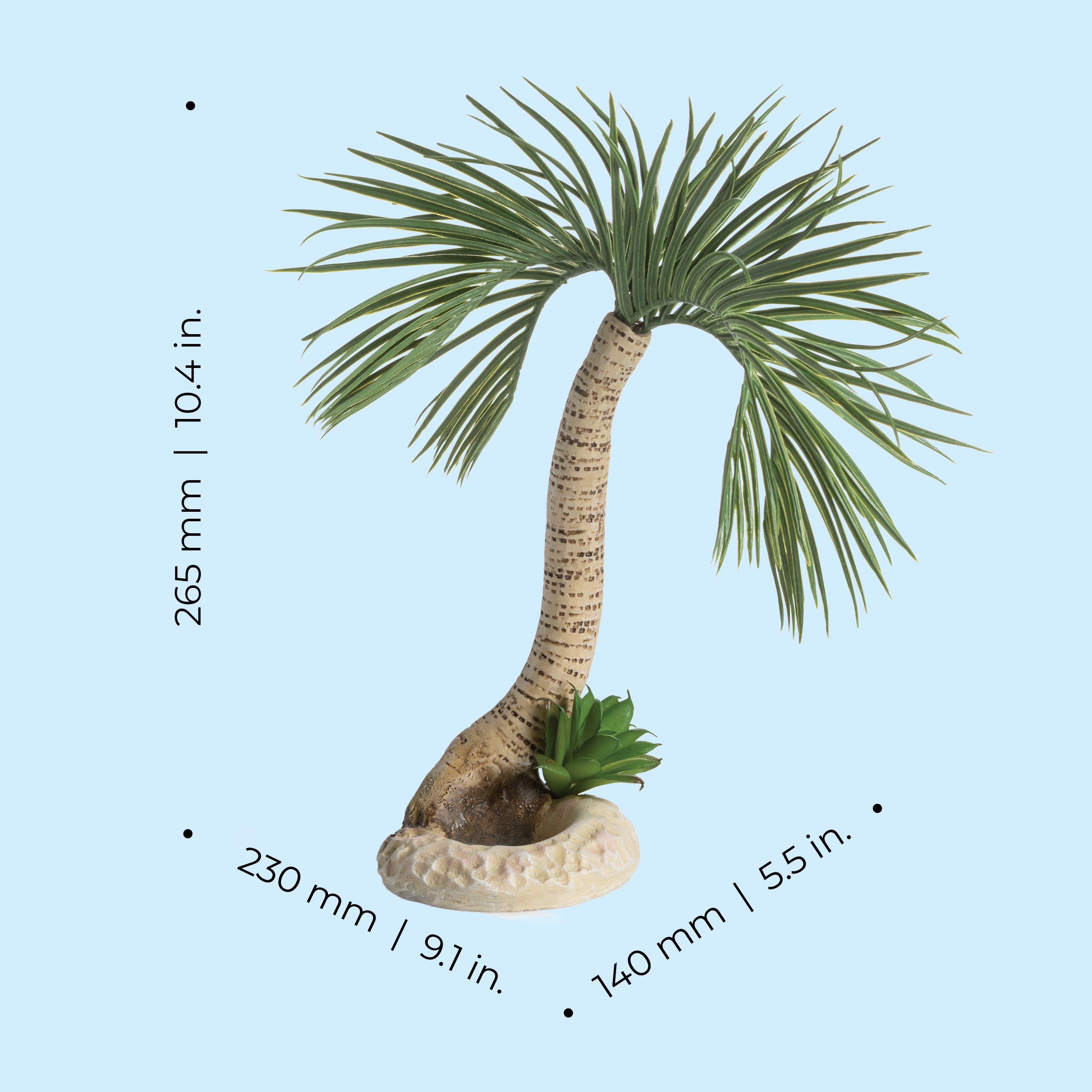 Seychelles Palm Tree Sculpture, large - Dimensions