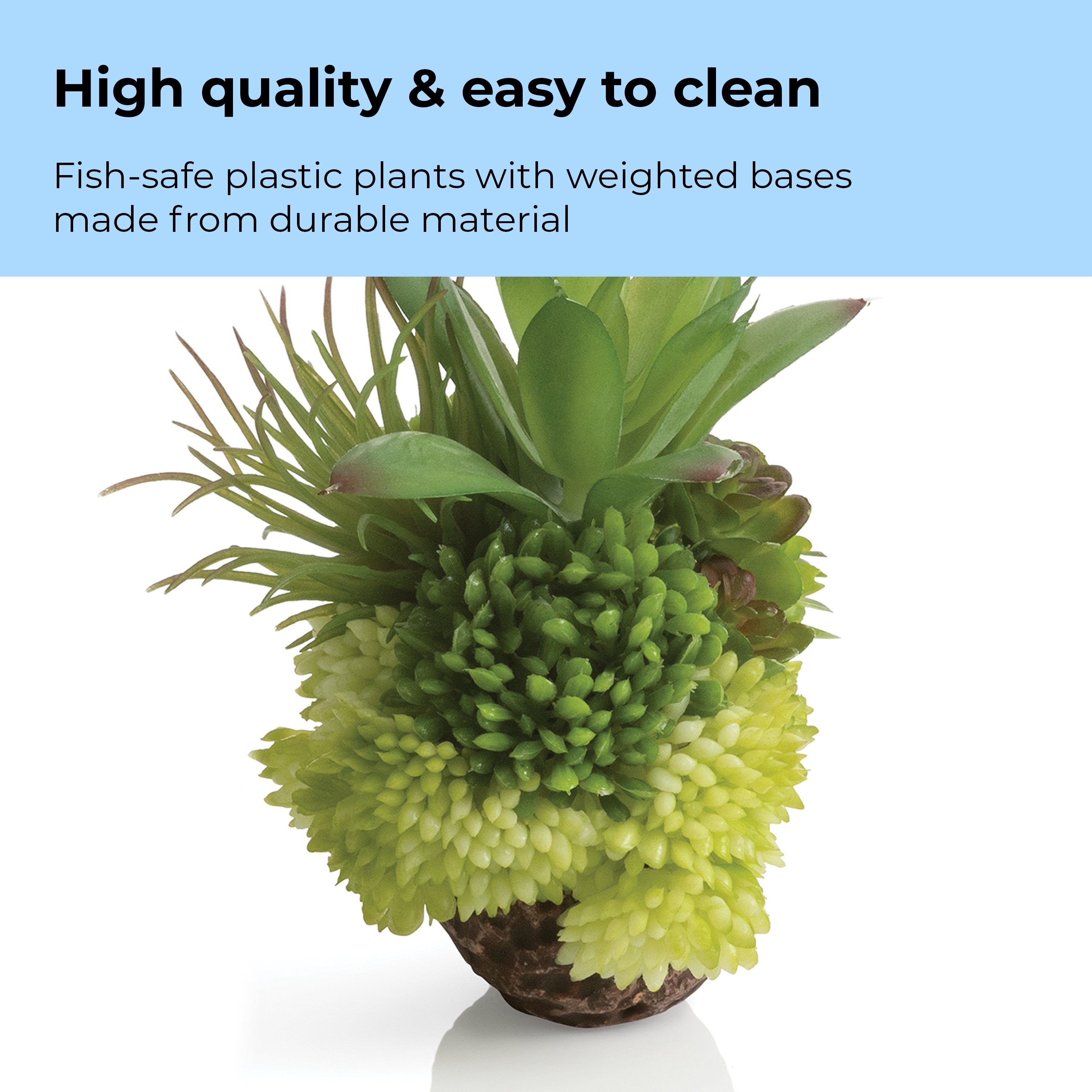 Coral Ball Set - High quality & easy to clean