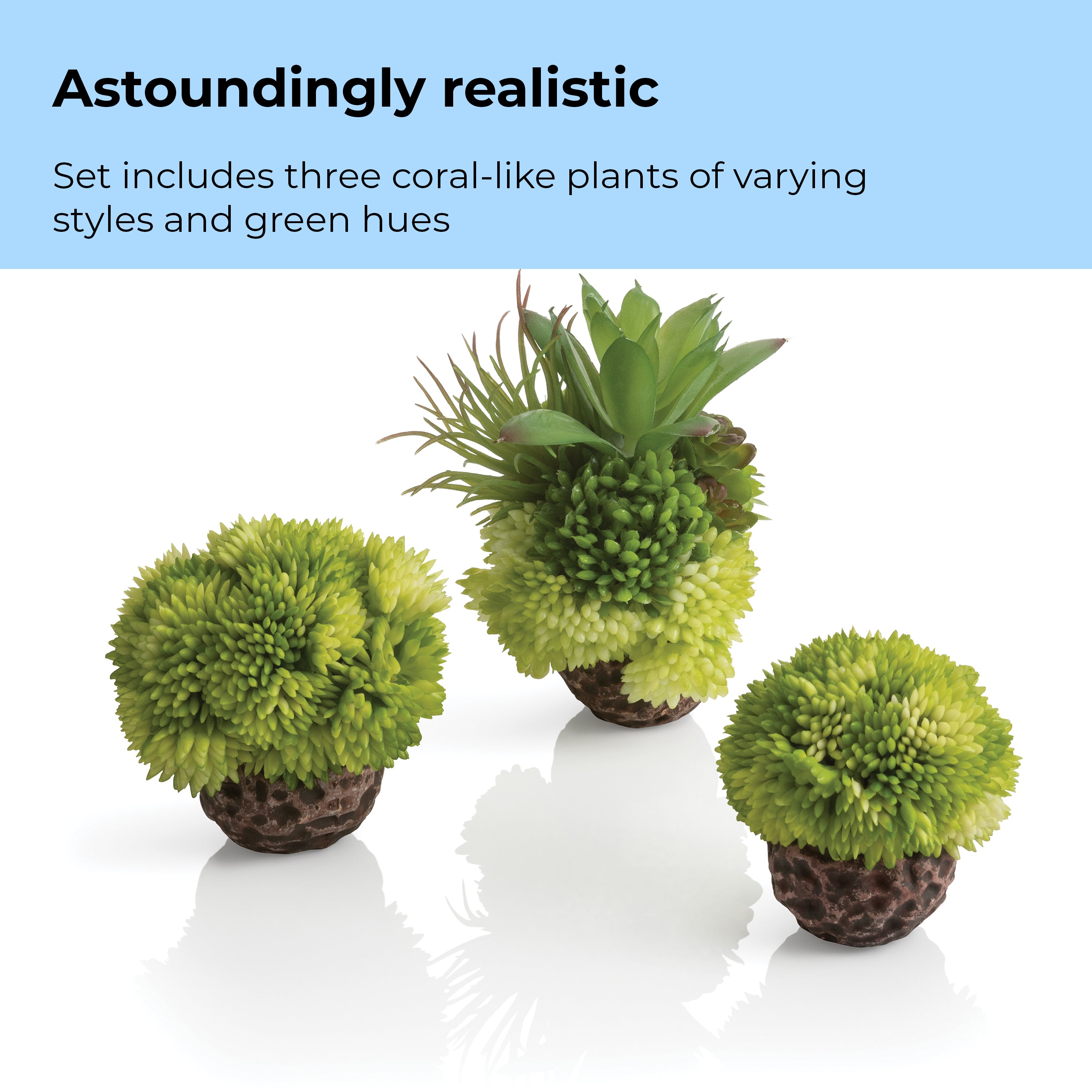 Coral Ball Set - Astoundingly realistic