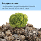 Coral Ball Set - Easy placement