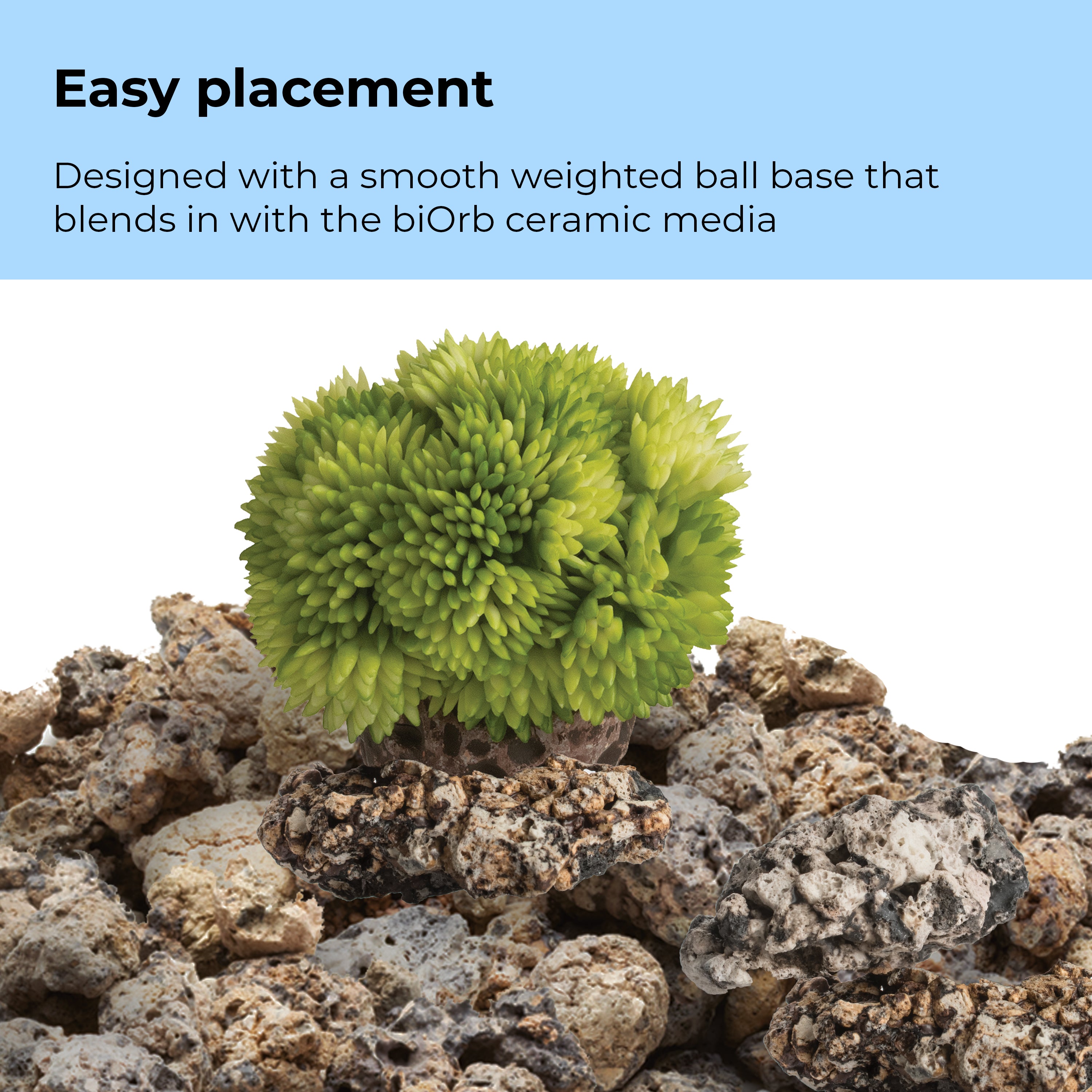 Coral Ball Set - Easy placement