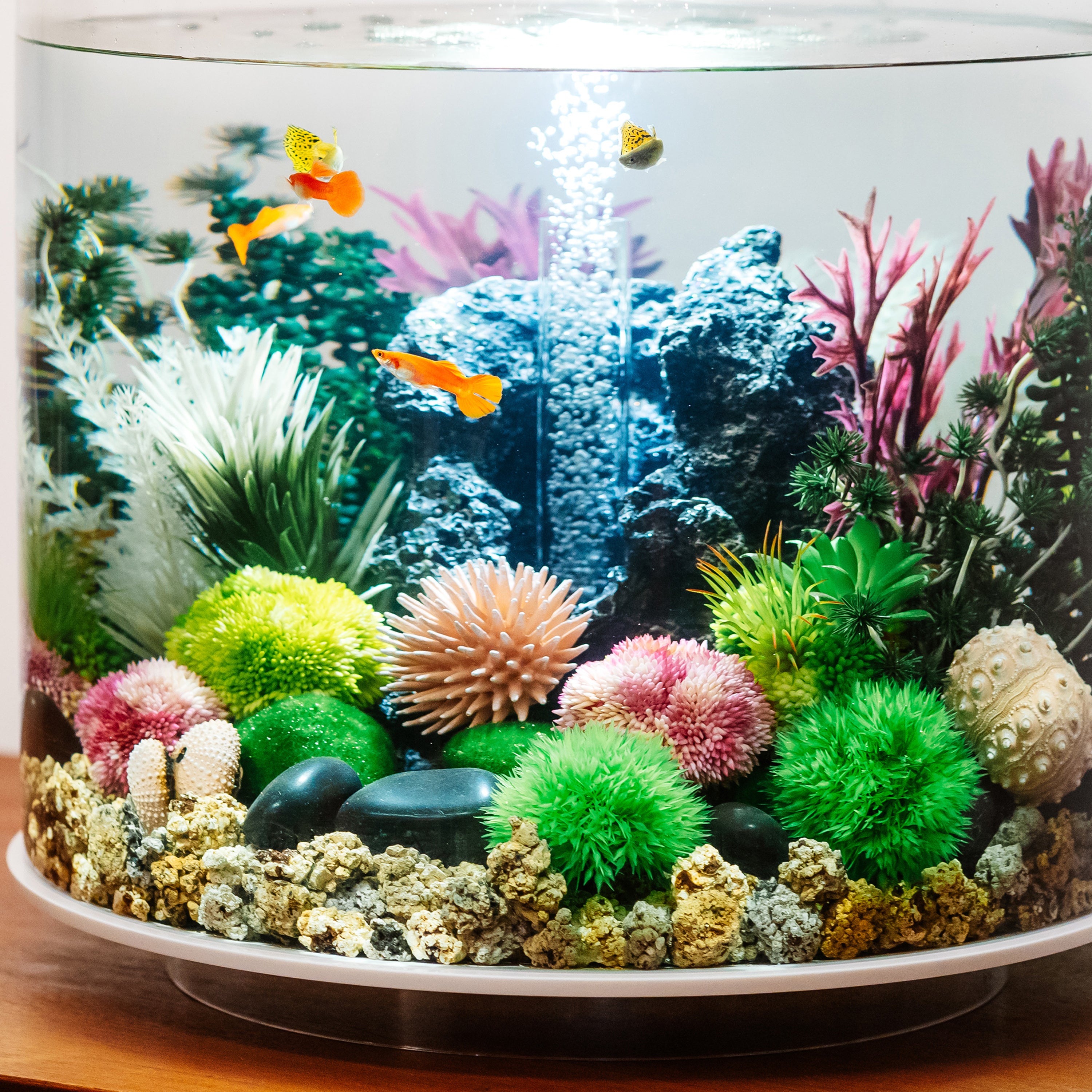 Coral Ball Set - Green In use