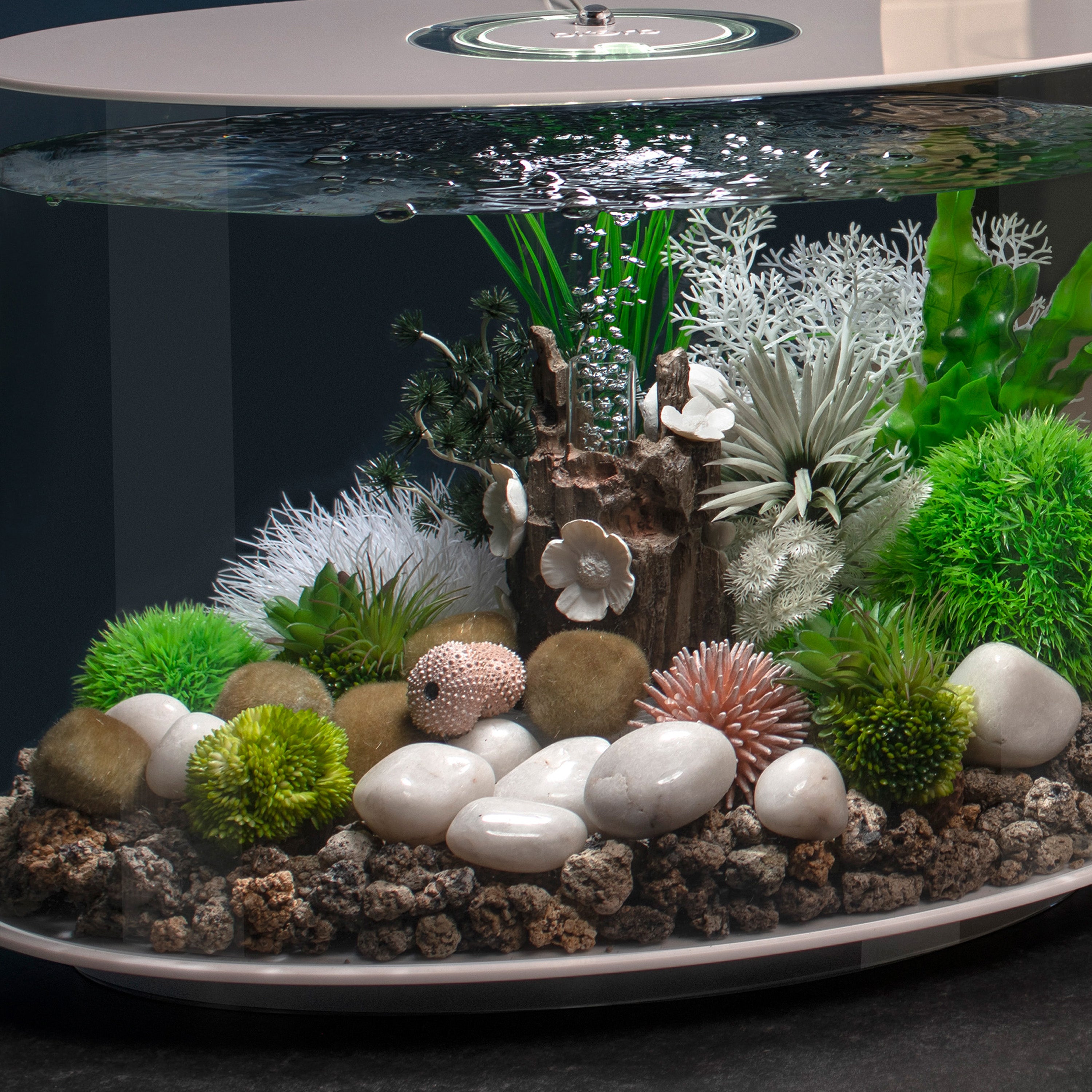 Coral Ball Set - Green In use