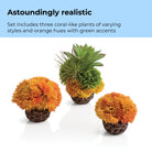Coral Ball Set - Astoundingly realistic