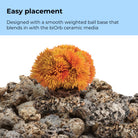 Coral Ball Set - Easy placement