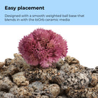Coral Ball Set - Easy placement