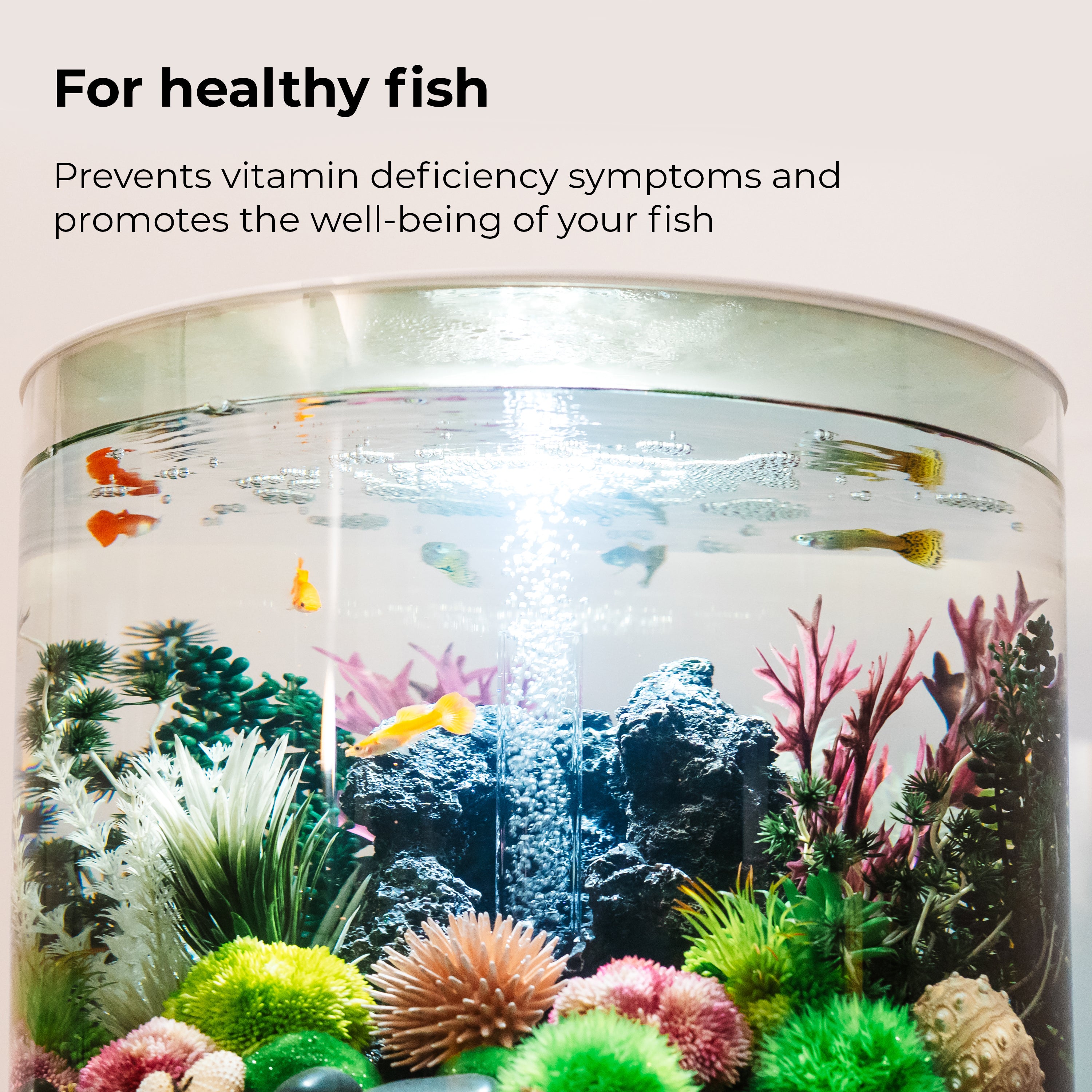 Complete Care - For healthy fish
