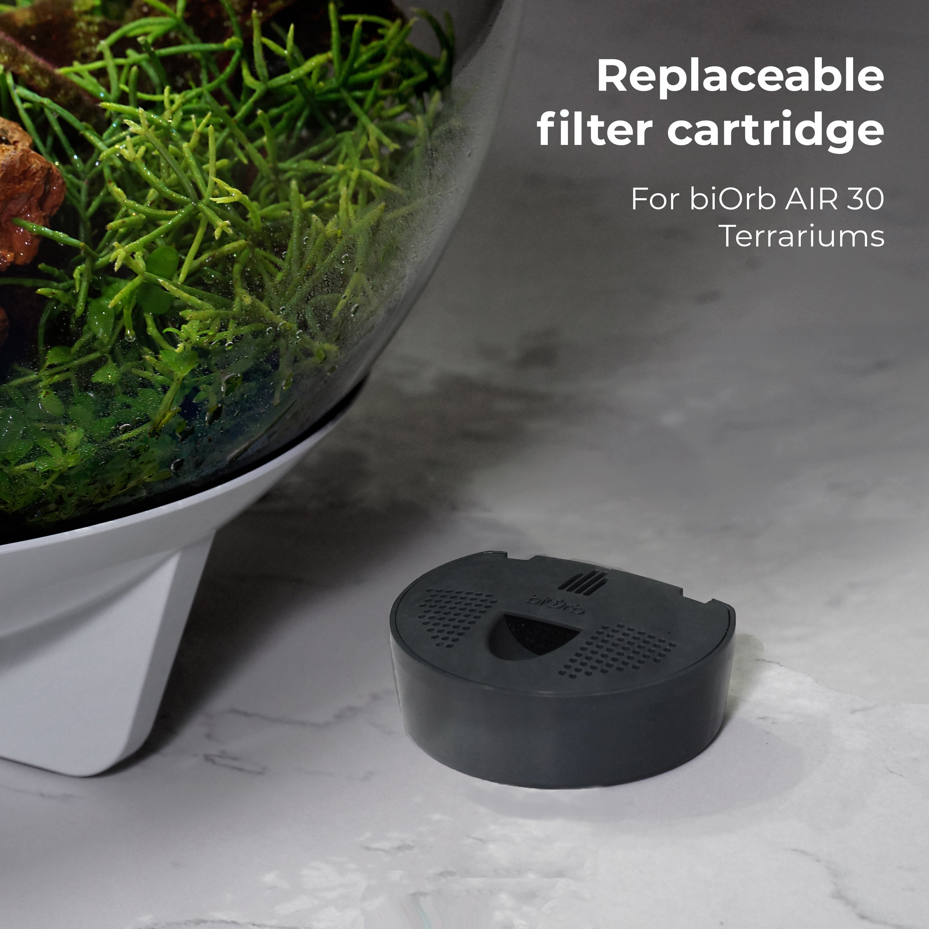 replacement filter for air 30 terrariums