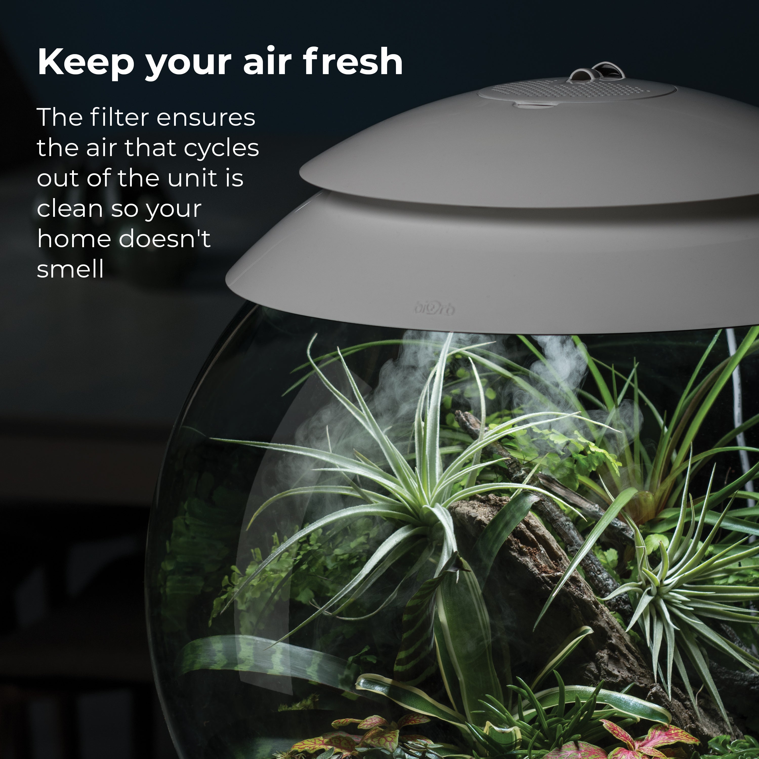 air 30 filter cartridge keeps air fresh